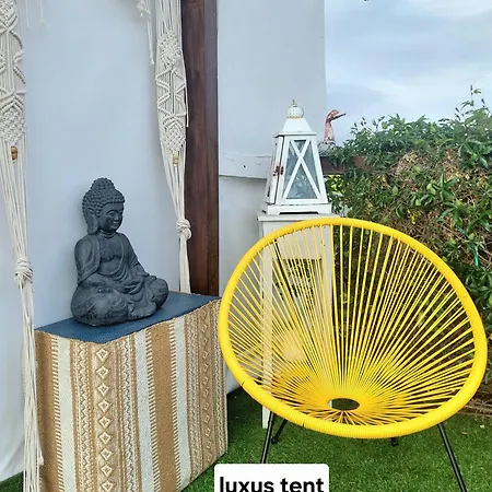 Pure Crete - Tiny House & Luxury Tent 干尼亞