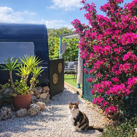 Dom wakacyjny Pure Crete - Tiny House & Luxury Tent