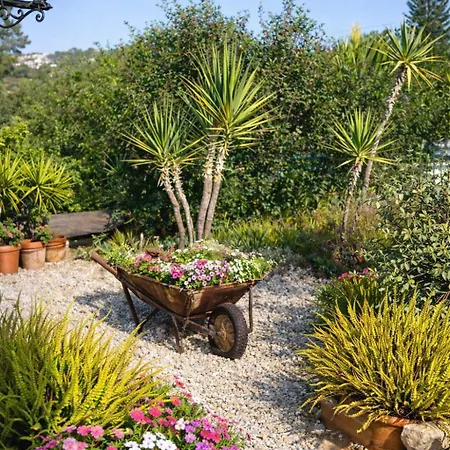 Pure Crete - Tiny House & Luxury Tent *