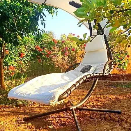 Dream Tiny House Or Luxus Tent With Pool