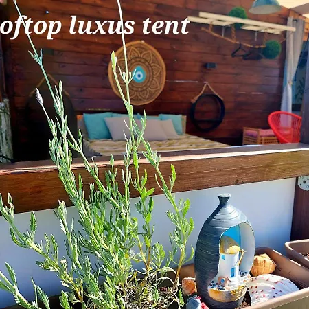 Dream Tiny House Or Luxus Tent With Pool Prázdninový dům