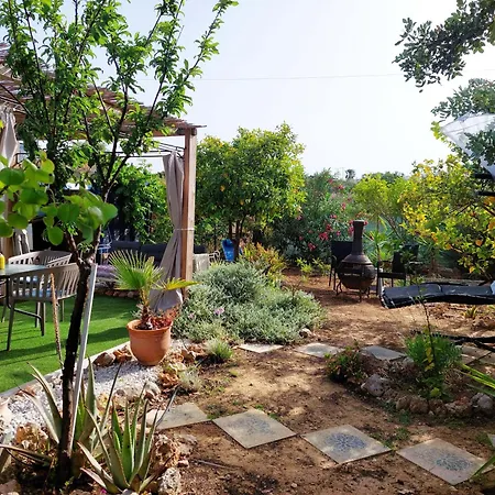 Dream Tiny House & Luxury Tent * חאניה