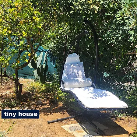 Prázdninový dům Dream Tiny House Or Luxus Tent With Pool *