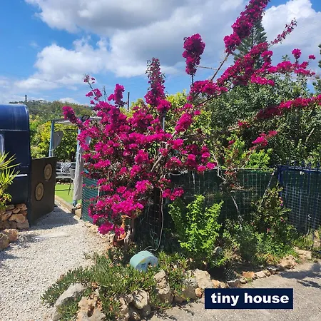 Dream Tiny House Or Luxus Tent With Pool