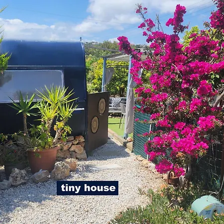 Dream Tiny House Or Luxus Tent With Pool Prázdninový dům