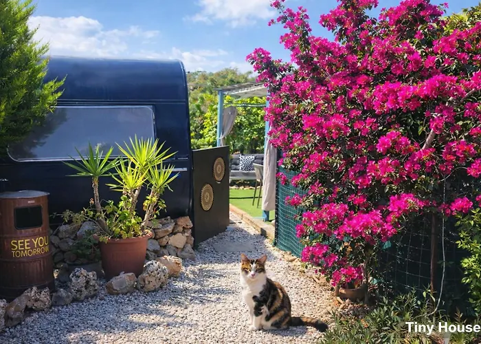 Vakantiehuis Dream Tiny House & Luxury Tent, 6 Km From Center Chania